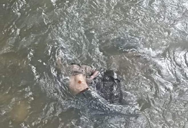 Fue localizado flotando en un río a la altura del Puente Santa Cruz