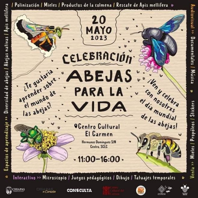 En San Cristóbal realizarán el Festival "Abejas para la vida"