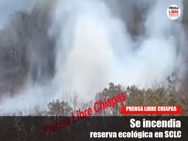 Se incendia reserva ecológica en SCLC