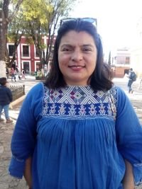 Realizarán Quinta Campaña de Esterilización de Perros y Gatos en San Cristóbal - Prensa Libre Chiapas