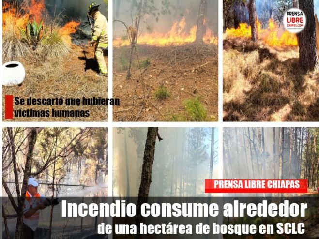 Incendio consume alrededor de una hectárea de bosque en SCLC