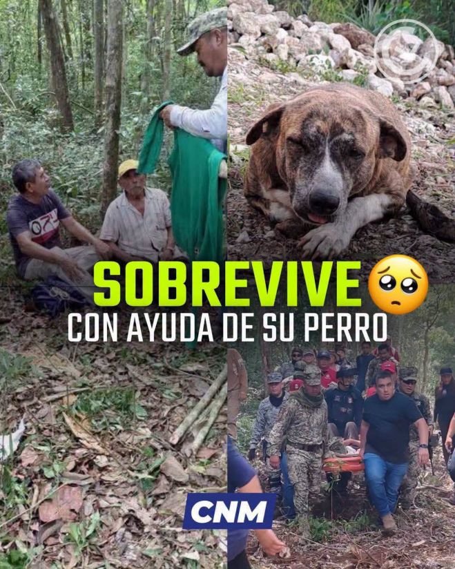 ABUELITO SE PIERDE TRES DÍAS EN LA SELVA Y ES RESCATADO GRACIAS A SU PERRO