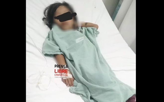 Menores en estado grave tras ingerir hongos venenosos en Chenalhó