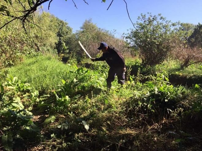 DURANTE LOS TRABAJOS DE DESAZOLVE, TENEMOS QUE PRESERVAR EL PATRIMONIO DE NUESTRA NATURALEZA: ECOLOGÍA Y MEDIO AMBIENTE MUNICIPAL