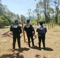 Despliegan operativo contra tala ilegal en comunidades de Huixt&aacute;n 