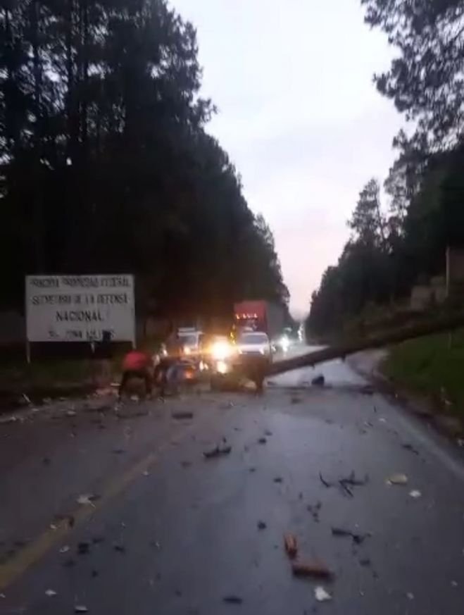 Caen árboles obstruyendo el paso en el tramo San Cristóbal de Las Casas-Teopisca