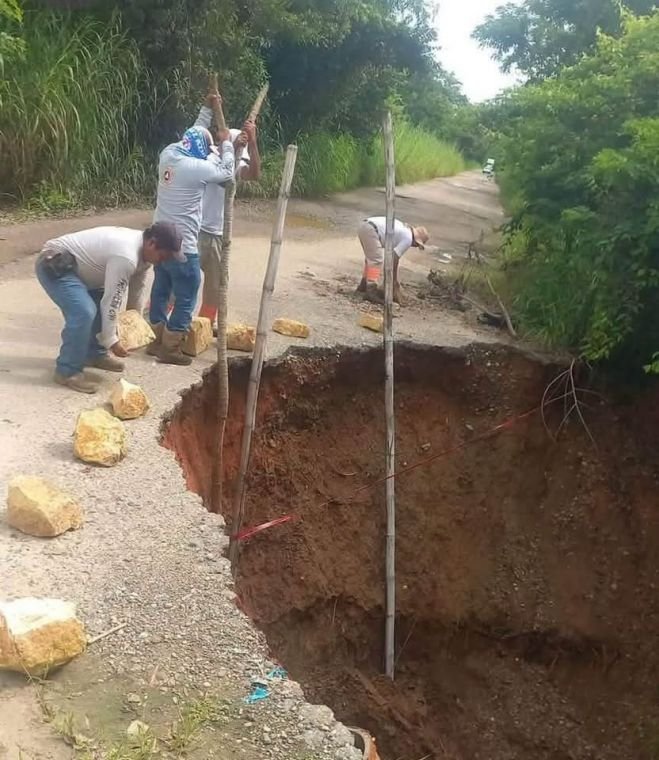 Lluvias provocan caída de árboles y deslizamiento de tierra en Chiapas