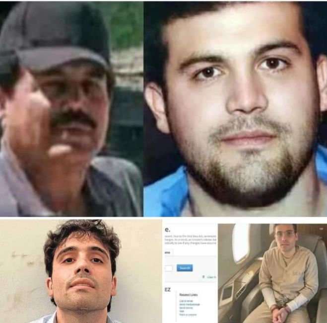 LIBERAN A "EL RATON" OVIDIO GUZMAN HIJO DEL CHAPO 