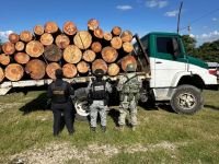 Grupo interinstitucional asegura dos veh&iacute;culos por el presunto delito de ecocidio en Altamirano