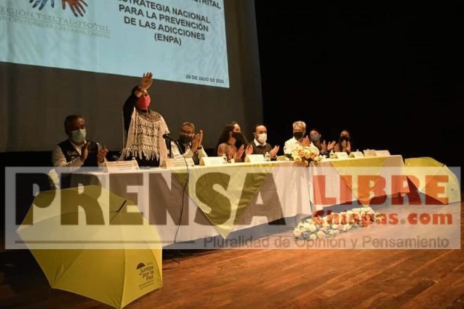 Sesiona Mesa Distrital de Coordinaci&oacute;n de la Estrategia Nacional para la Prevenci&oacute;n de Adicciones