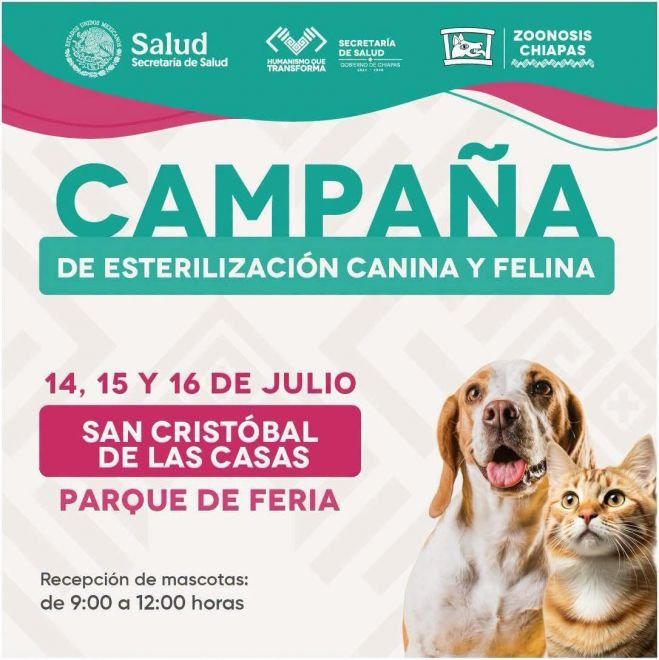 Gobierno de San Crist&oacute;bal y Secretar&iacute;a de Salud impulsan campa&ntilde;a gratuita de esterilizaci&oacute;n canina y felina