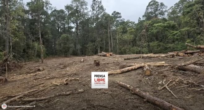Ind&iacute;genas de Huixt&aacute;n denuncian ecocidio 