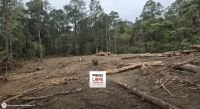 Ind&iacute;genas de Huixt&aacute;n denuncian ecocidio 