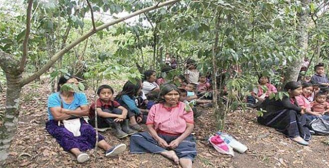 En riesgo la infancia de comunidades tsotsiles en desplazamiento
