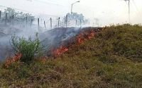 Incendio arrasa con pastizales en Palenque
