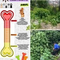 CECAM atiende denuncia por maltrato animal en San Crist&oacute;bal de Las Casas