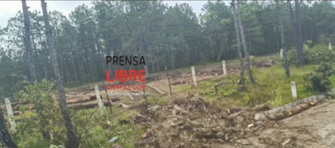Destrucción del medio ambiente en Altamirano