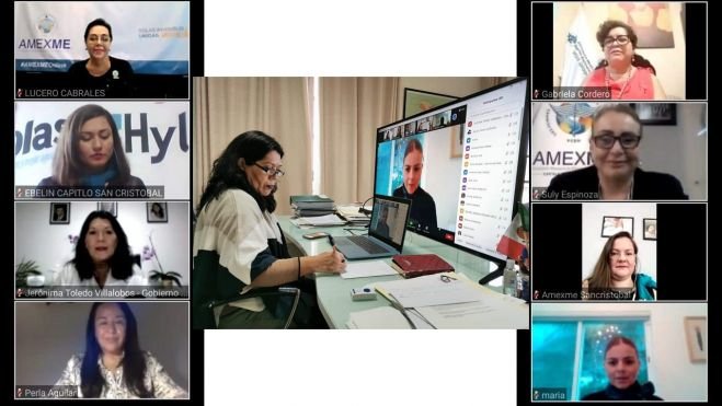 ASISTE JERÓNIMA TOLEDO A TOMA DE PROTESTA VIRTUAL DE LA ASOCIACIÓN MEXICANA DE MUJERES EMPRESARIAS EN SCLC.