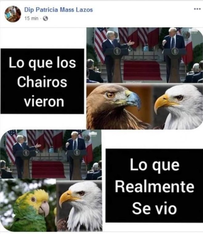 Se echa pa&acute;tras Diputada Patricia Mass por meme ofensivo a AMLO publicado en su Facebook 