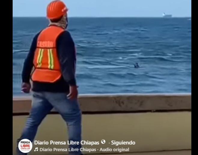 Tragedia en Coatzacoalcos: estudiante pierde la vida tras ingresar al mar sin autorización