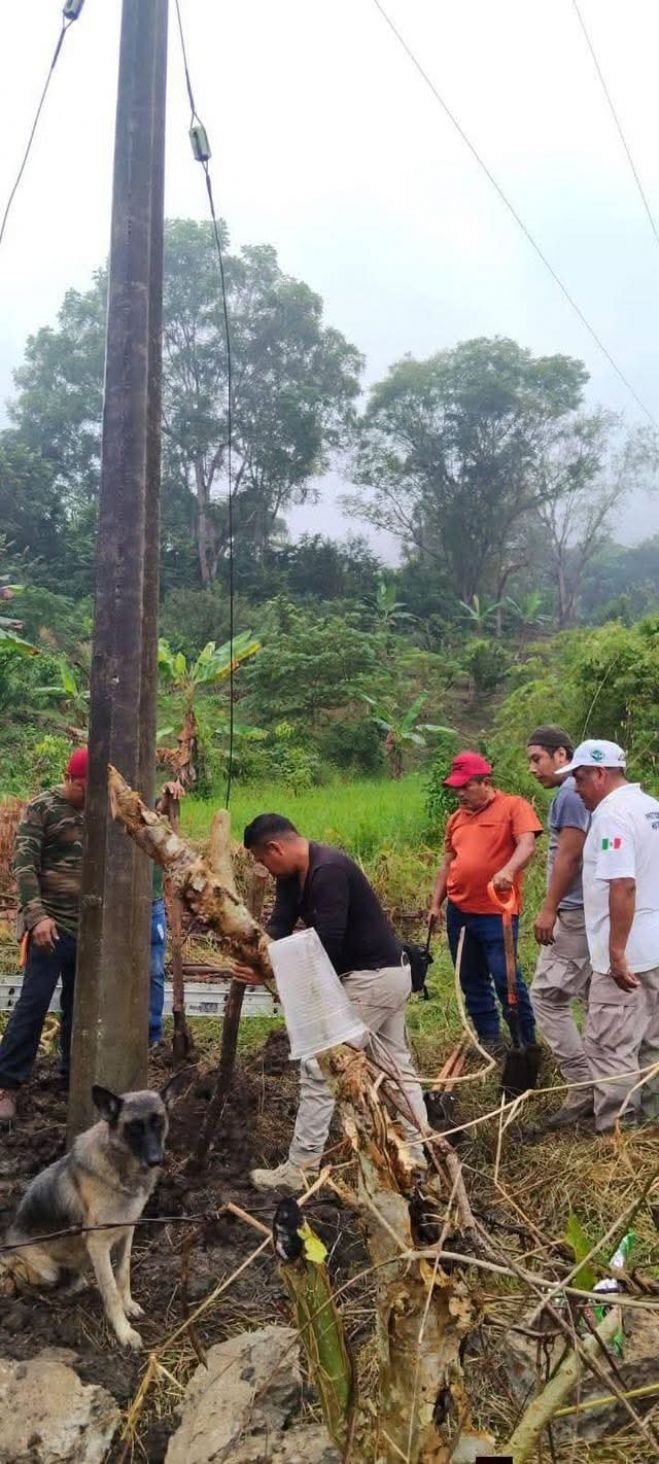 Deslizamientos y caída de árboles afectan carreteras en el norte de Chiapas