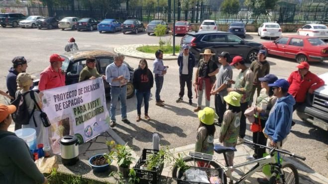 Impulsan jardines urbanos para proteger aves y polinizadores