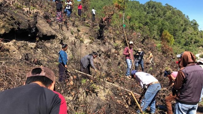 Reforestan en Zinacant&aacute;n para recuperar hect&aacute;reas afectadas por incendio