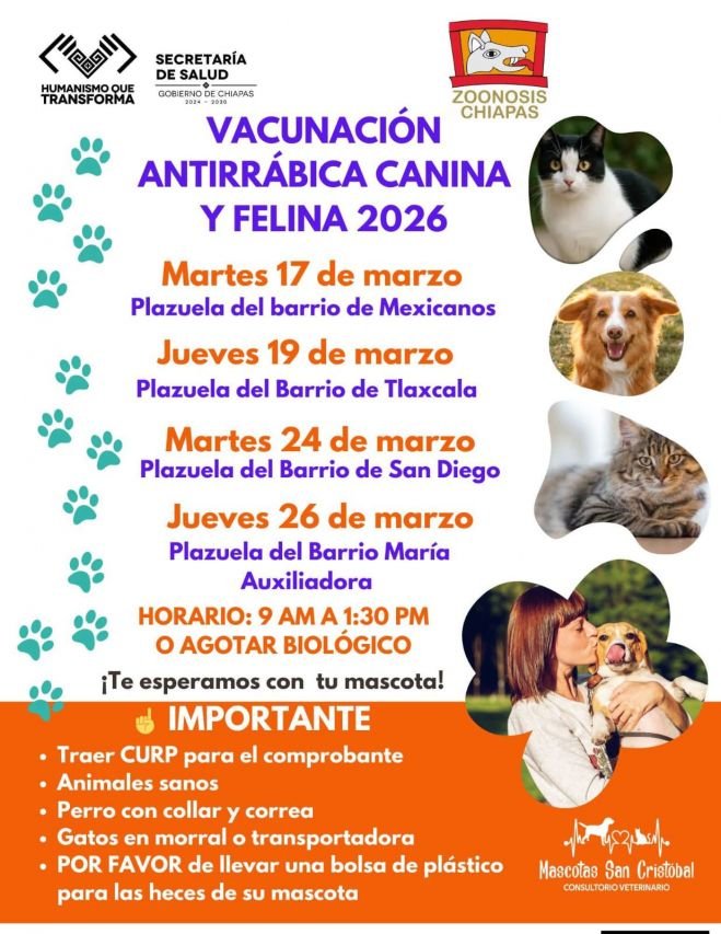 Refuerzan vacunación antirrábica en San Cristóbal de Las Casas