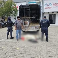 Autoridades municipales sancionan y detienen a individuo por uso indebido de contenedores