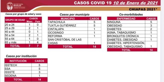 SEMANA 7 EN SEM&Aacute;FORO VERDE: 96 CASOS Y 13 DECESOS DE COVID-19