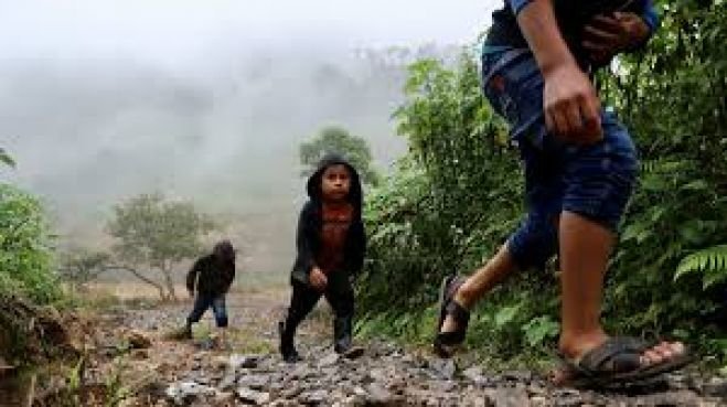 Crisis en los Altos de Chiapas: Más de 3,400 indígenas desplazados en medio de una emergencia humanitaria