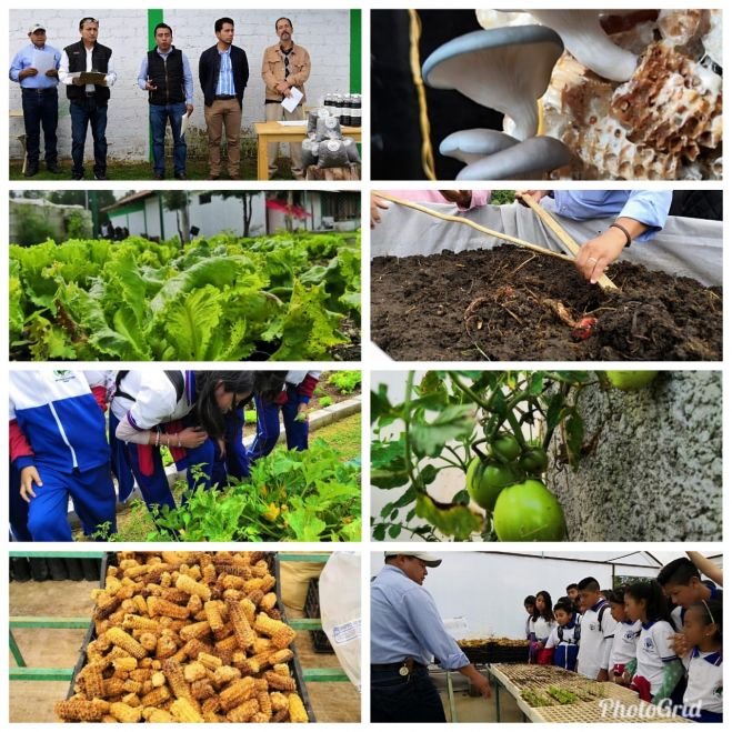 CAPACITA COORDINACIÓN DE PROYECTOS PRODUCTIVOS DEL AYUNTAMIENTO A ESCUELAS TÉCNICAS DE SCLC