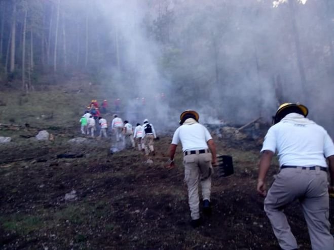 En San Crist&oacute;bal m&aacute;s de 7 hect&aacute;reas de bosques han sido consumidas por el fuego