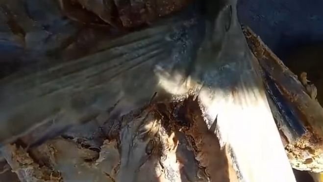 Alertan por venta de pescado en mal estado en mercado Jos&eacute; Castillo