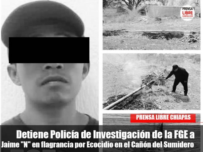 Detiene Policía de Investigación de la FGE a Jaime "N" en flagrancia por Ecocidio en el Cañón del Sumidero