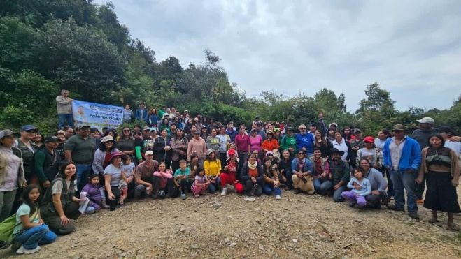 Ambientalistas inician XIX campaña anual de reforestación en Chamula
