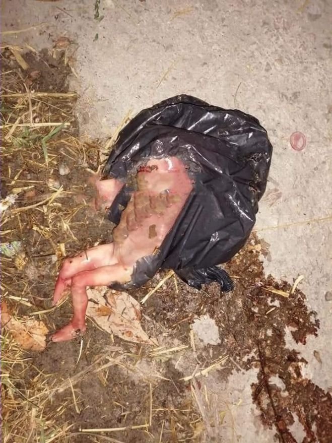 Hallan feto al interior de una bolsa de nylon