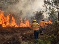 Cr&iacute;tico panorama por los incendios  forestales que se avecinan en Chiapas.