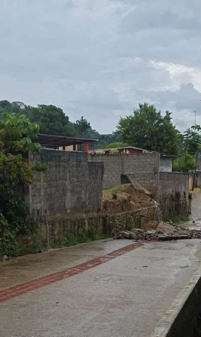 Colapsa barda de una escuela en Pantelh&oacute;