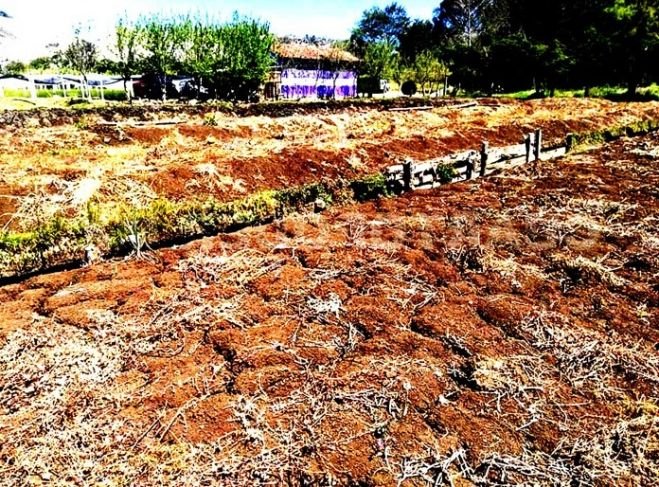 Severos los efectos del cambio climático