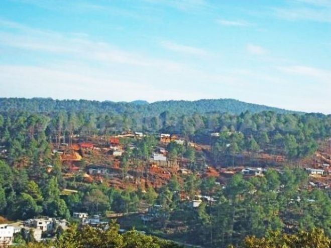 Advierten sobre una nueva invasión en reserva ecológica
