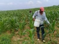 La crisis estructural del campo chiapaneco reclama atenci&oacute;n urgente 
