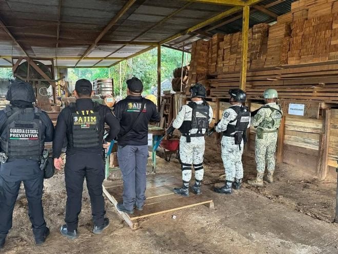 FGE ejecuta órdenes de cateo en #Altamirano y #Ocosingo por el delito de ecocidio