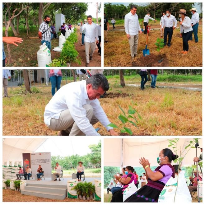 SOCIEDAD Y GOBIERNO DEBEMOS SER AGENTES ACTIVOS DEL DESARROLLO SUSTENTABLE: RUTILIO ESCANDÓN