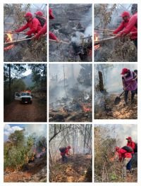 Ante las condiciones clim&aacute;ticas adversas, recomienda a los vecinos de dichas colonias mantener la vigilancia y dar aviso a las autoridades correspondientes y exhortaron a los habitantes de evitar caer en p&aacute;nico y no realizar ning&uacute;n tipo de actividad al aire libre donde hagan uso del fuego.