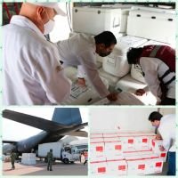 Llegan m&aacute;s de 70 mil vacunas marca Sinovac a Chiapas