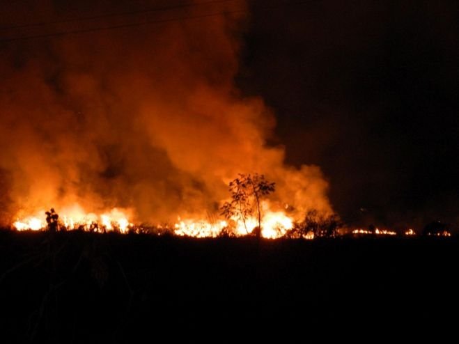  Coordinar&aacute; Fiscal&iacute;a Estrategia para Prevenir Incendios Forestales en Chiapas: Llaven Abarca