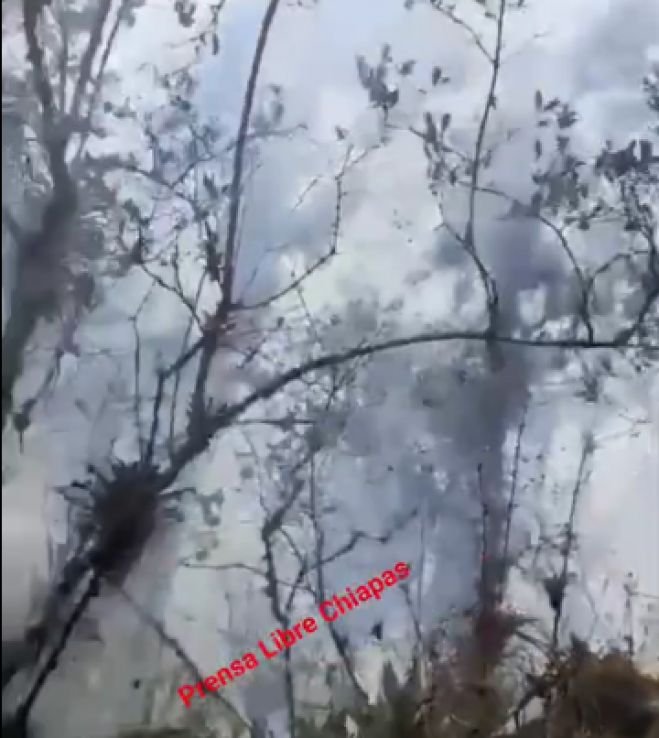 Incendio consume más de 45 hectáreas de bosque 
