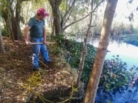 Retiran lirio acu&aacute;tico del manantial La Kisst para proteger humedales