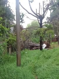 &Aacute;rboles provocan corte de agua en la zona sur